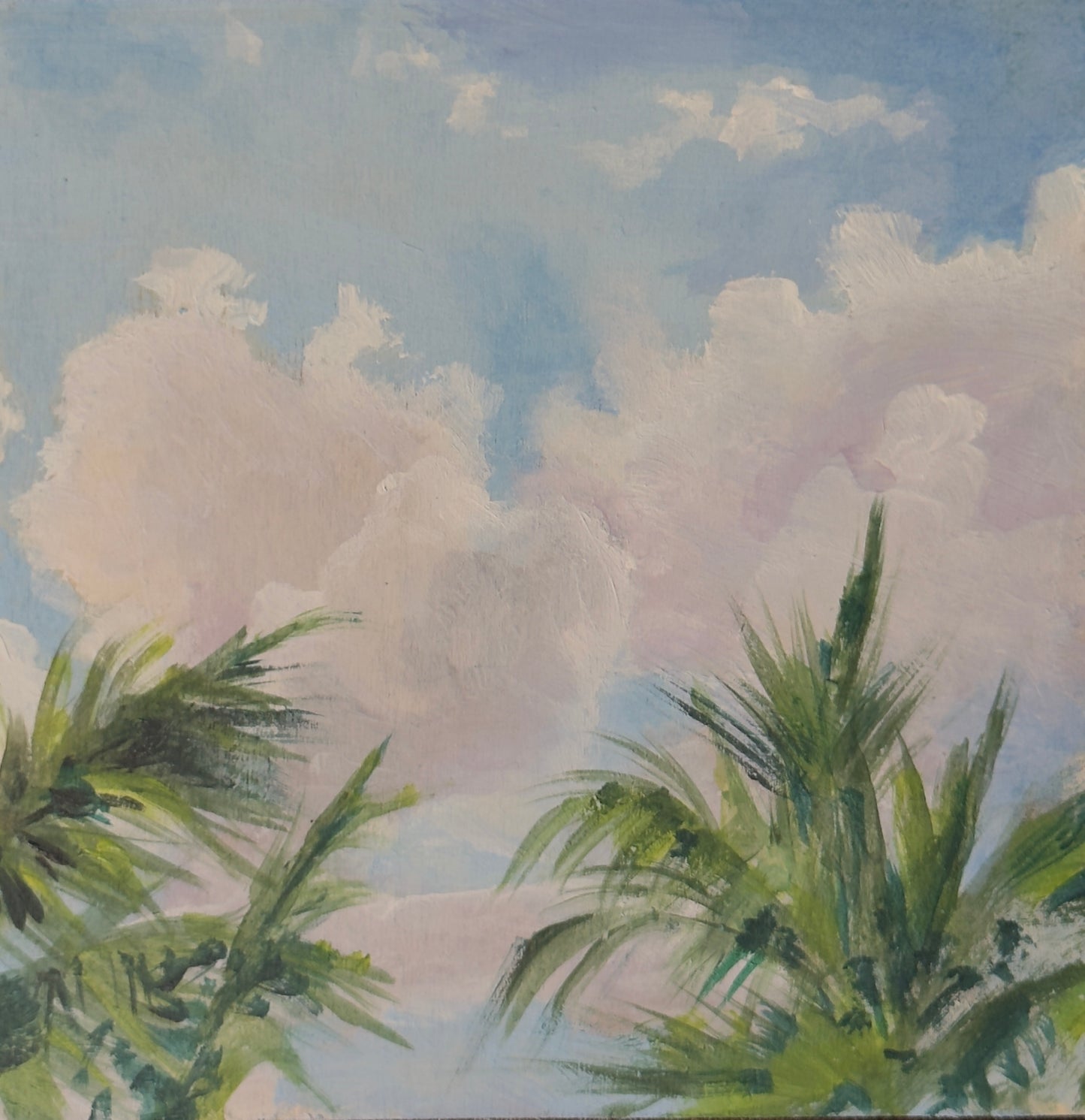 Palm Beach No. 1